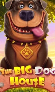 The Big Dog House